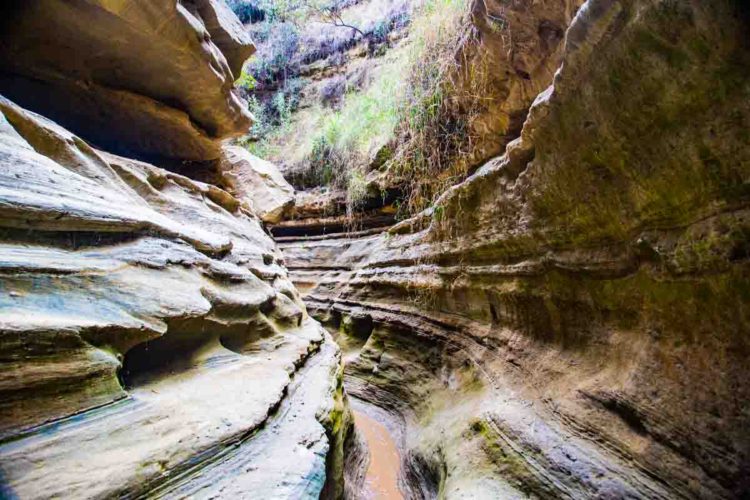 Hells Gate & Crescent Island - Photo 8