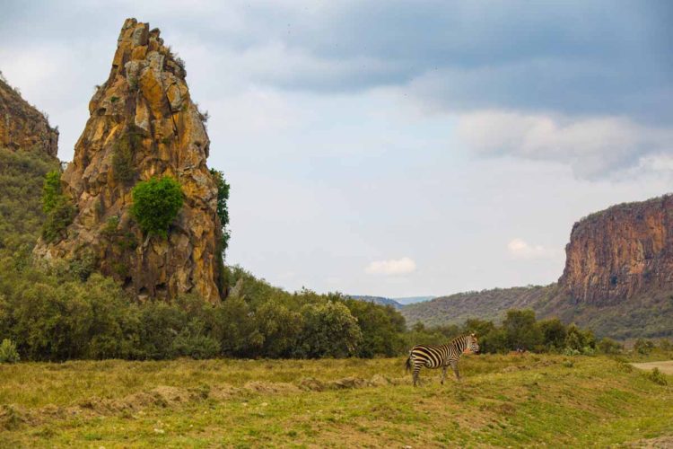 Hells Gate & Crescent Island - Photo 11