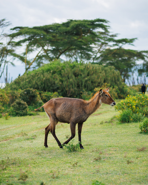 Hells Gate & Crescent Island - Photo 2